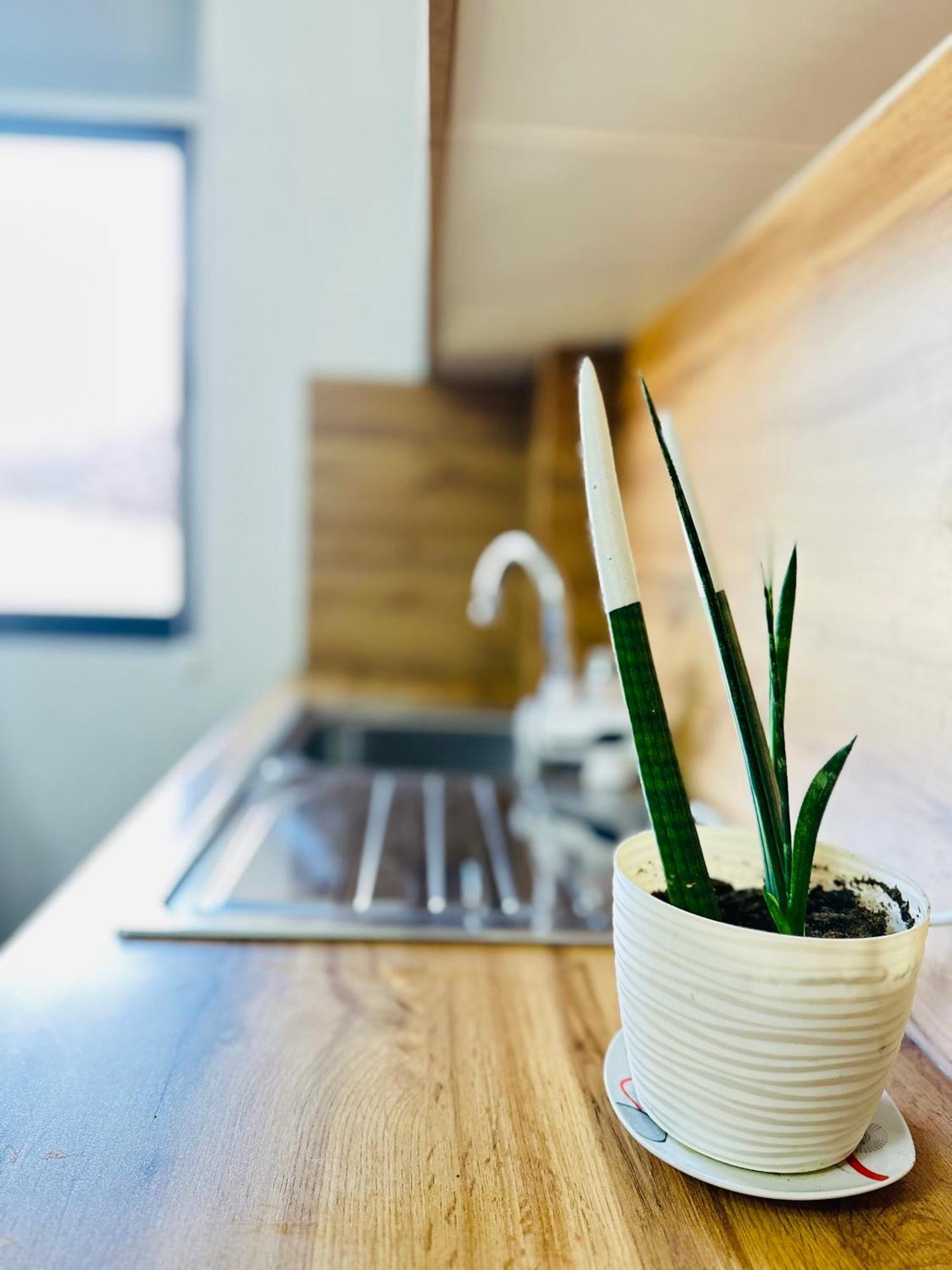 Apartamento Pazari I Ri, Quiet And Stay, Self Check-in